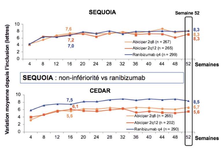 Figure 5. Évolution de l’acuité visuelle moyenne dans les études SEQUOIA et CEDAR à 1 an.
