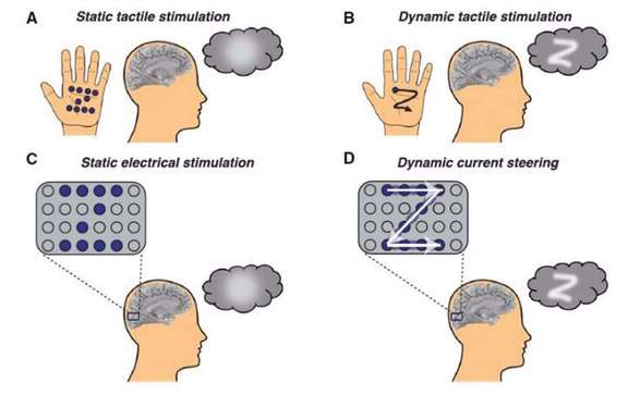Illustration de comment la stimulation dynamique du cortex visuel permet aux participants de « voir » des formes.

