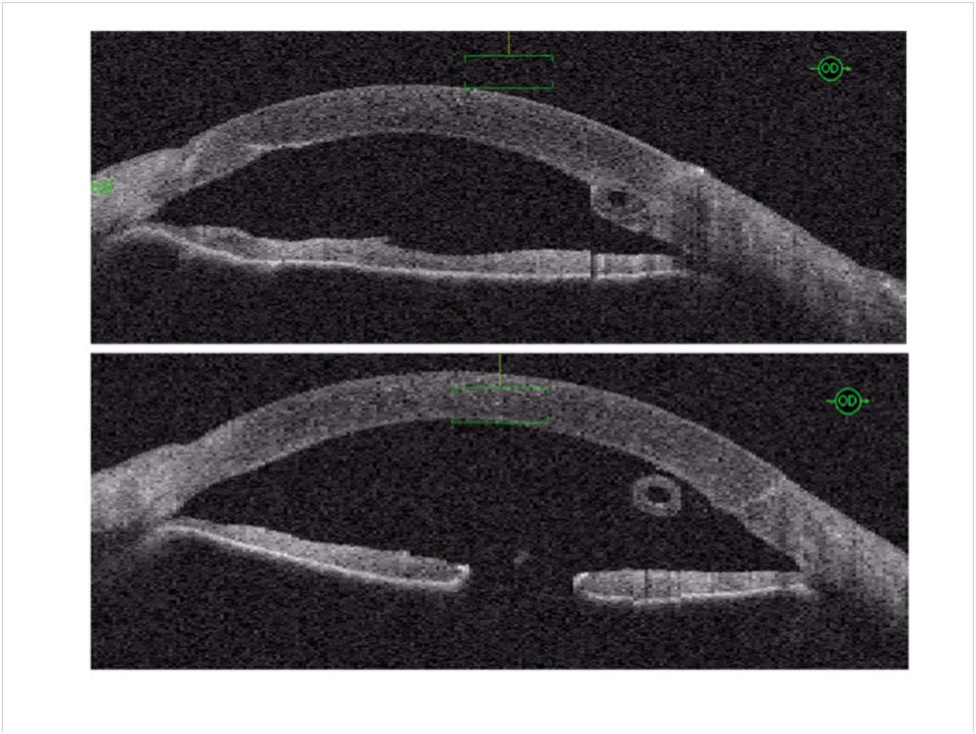 Figure 10.
