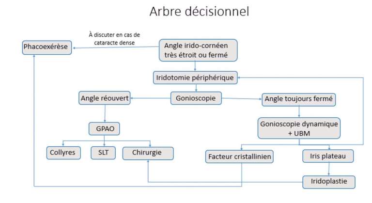 Figure 7. Arbre décisionnel (Dr Mickaël Sellam, Rueil).
